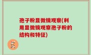 孢子粉显微镜观察(利用显微镜观察孢子粉的结构和特征)
