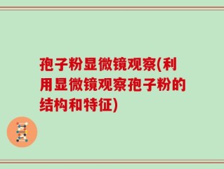孢子粉显微镜观察(利用显微镜观察孢子粉的结构和特征)