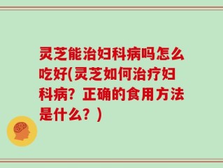 灵芝能治妇科病吗怎么吃好(灵芝如何治疗妇科病？正确的食用方法是什么？)