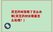灵芝药材发霉了怎么办呢(灵芝药材长霉菌怎么处理？)