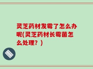 灵芝药材发霉了怎么办呢(灵芝药材长霉菌怎么处理？)