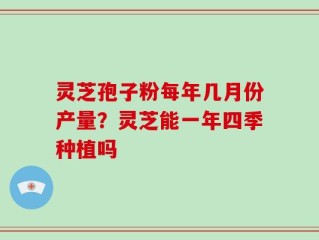 灵芝孢子粉每年几月份产量？灵芝能一年四季种植吗