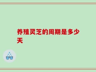养殖灵芝的周期是多少天