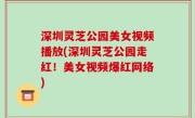 深圳灵芝公园美女视频播放(深圳灵芝公园走红！美女视频爆红网络)