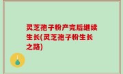灵芝孢子粉产完后继续生长(灵芝孢子粉生长之路)
