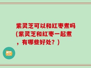 紫灵芝可以和红枣煮吗(紫灵芝和红枣一起煮，有哪些好处？)