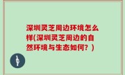 深圳灵芝周边环境怎么样(深圳灵芝周边的自然环境与生态如何？)