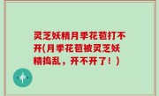 灵芝妖精月季花苞打不开(月季花苞被灵芝妖精捣乱，开不开了！)