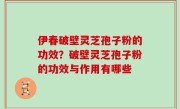 伊春破壁灵芝孢子粉的功效？破壁灵芝孢子粉的功效与作用有哪些