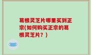 葛根灵芝片哪里买到正宗(如何购买正宗的葛根灵芝片？)