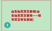 山东仙灵灵芝基地(山东仙灵灵芝基地——探寻灵芝养生奥秘)