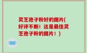 灵芝孢子粉好的图片(好评不断！这是最佳灵芝孢子粉的图片！)