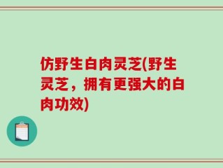 仿野生白肉灵芝(野生灵芝，拥有更强大的白肉功效)