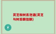 灵芝和树舌泡酒(灵芝与树舌酿佳酿)