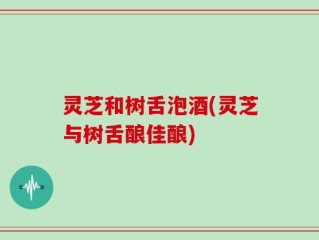 灵芝和树舌泡酒(灵芝与树舌酿佳酿)