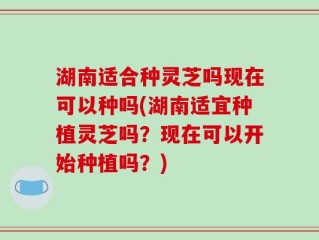湖南适合种灵芝吗现在可以种吗(湖南适宜种植灵芝吗？现在可以开始种植吗？)