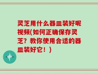 灵芝用什么器皿装好呢视频(如何正确保存灵芝？教你使用合适的器皿装好它！)