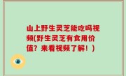 山上野生灵芝能吃吗视频(野生灵芝有食用价值？来看视频了解！)