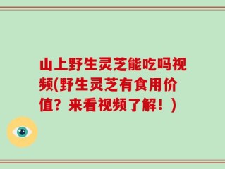 山上野生灵芝能吃吗视频(野生灵芝有食用价值？来看视频了解！)