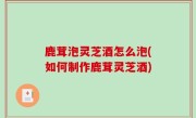 鹿茸泡灵芝酒怎么泡(如何制作鹿茸灵芝酒)