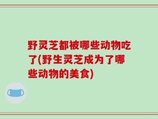 野灵芝都被哪些动物吃了(野生灵芝成为了哪些动物的美食)