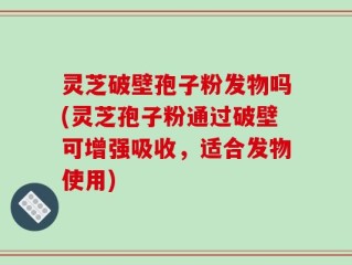 灵芝破壁孢子粉发物吗(灵芝孢子粉通过破壁可增强吸收，适合发物使用)