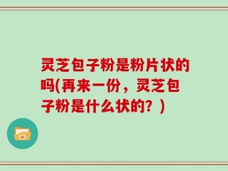灵芝包子粉是粉片状的吗(再来一份，灵芝包子粉是什么状的？)