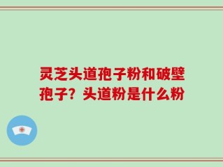 灵芝头道孢子粉和破壁孢子？头道粉是什么粉