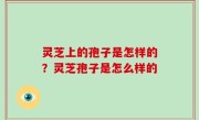 灵芝上的孢子是怎样的？灵芝孢子是怎么样的