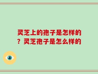 灵芝上的孢子是怎样的？灵芝孢子是怎么样的