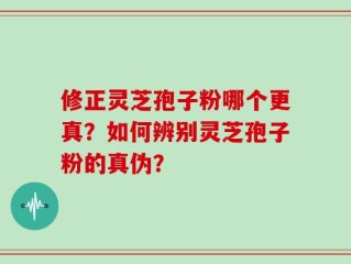 修正灵芝孢子粉哪个更真？如何辨别灵芝孢子粉的真伪？