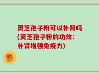 灵芝孢子粉可以补肾吗(灵芝孢子粉的功效：补肾增强免疫力)