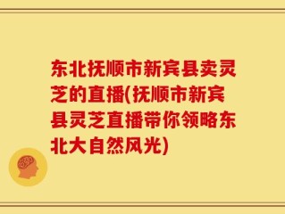 东北抚顺市新宾县卖灵芝的直播(抚顺市新宾县灵芝直播带你领略东北大自然风光)