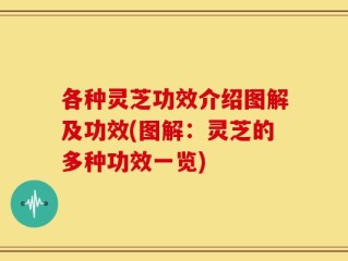 各种灵芝功效介绍图解及功效(图解：灵芝的多种功效一览)
