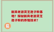 新宾老游灵芝孢子粉基地？探秘新宾老游灵芝孢子粉的养殖技术？