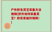户外野生灵芝采集方法视频(野外如何采集灵芝？附实景操作视频！)