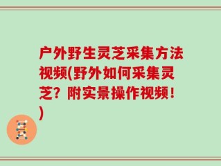 户外野生灵芝采集方法视频(野外如何采集灵芝？附实景操作视频！)