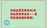 长白山灵芝老谷头(长白山灵芝老谷头——自然生态资源的宝库)