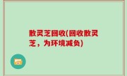 散灵芝回收(回收散灵芝，为环境减负)