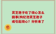 灵芝孢子吃了烧心怎么回事(枸杞泡灵芝孢子或引起烧心？分析来了