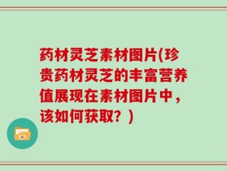 药材灵芝素材图片(珍贵药材灵芝的丰富营养值展现在素材图片中，该如何获取？)