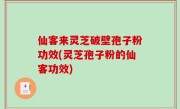 仙客来灵芝破壁孢子粉功效(灵芝孢子粉的仙客功效)