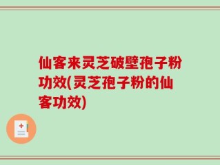 仙客来灵芝破壁孢子粉功效(灵芝孢子粉的仙客功效)