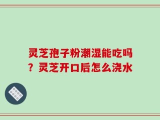 灵芝孢子粉潮湿能吃吗？灵芝开口后怎么浇水