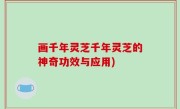 画千年灵芝千年灵芝的神奇功效与应用)