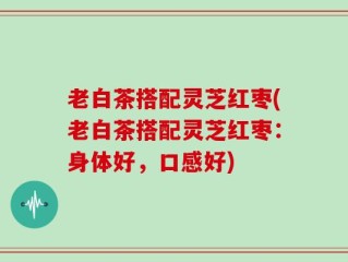 老白茶搭配灵芝红枣(老白茶搭配灵芝红枣：身体好，口感好)