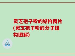 灵芝孢子粉的结构图片(灵芝孢子粉的分子结构图解)