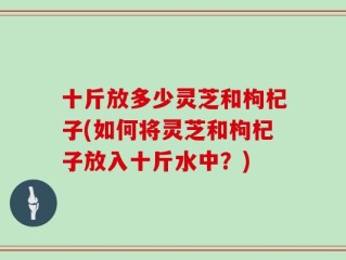十斤放多少灵芝和枸杞子(如何将灵芝和枸杞子放入十斤水中？)