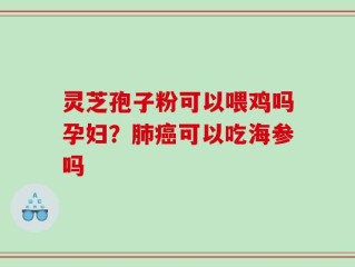 灵芝孢子粉可以喂鸡吗孕妇？肺癌可以吃海参吗