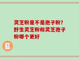 灵芝粉是不是孢子粉？野生灵芝粉和灵芝孢子粉哪个更好